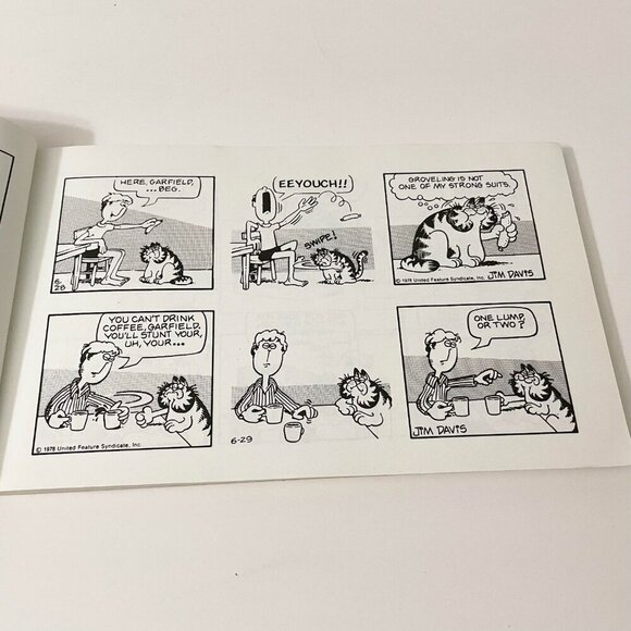 Garfield at Large and Garfield Chews the Fat Books by Jim Davis - Picture 10 of 16